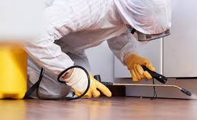 Emergency Pest Control Services in Wedgefield, FL